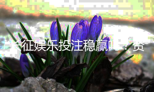 长征娱乐投注稳赢吗?资深玩家揭秘长期盈利的三大关键策略
