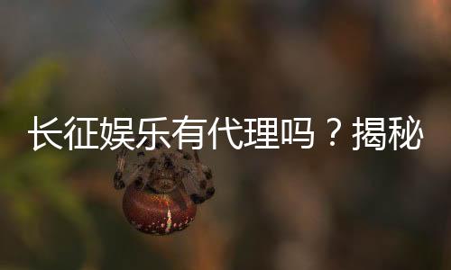 长征娱乐有代理吗?揭秘代理加盟条件与流程