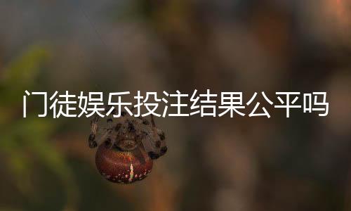 门徒娱乐投注结果公平吗?深度解析平台公正性与玩家实测反馈