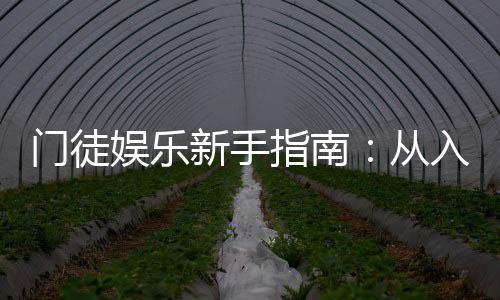 门徒娱乐新手指南:从入门到精通的完整攻略
