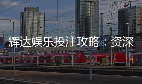 辉达娱乐投注攻略:资深玩家分享稳赢技巧与实战心得