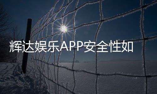 辉达娱乐APP安全性如何?深度解析其资金保障与数据防护措施