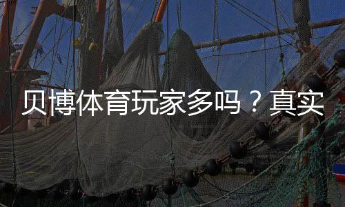贝博体育玩家多吗?真实用户量、人气与口碑深度解析