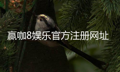 赢咖8娱乐官方注册网址:畅享顶级棋牌电游的尊贵体验