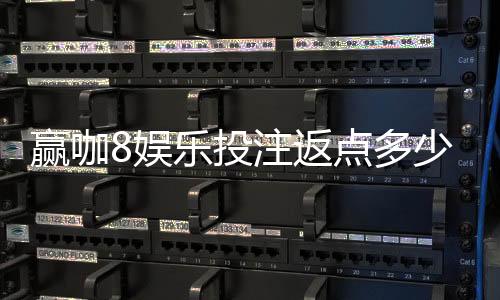 赢咖8娱乐投注返点多少？揭秘高返水福利与实战技巧