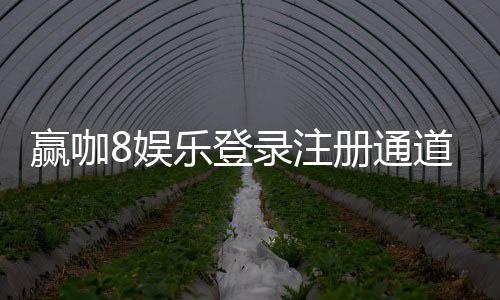 赢咖8娱乐登录注册通道:畅享顶级棋牌电游的尊贵体验