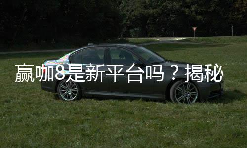 赢咖8是新平台吗?揭秘其背景与玩家真实体验