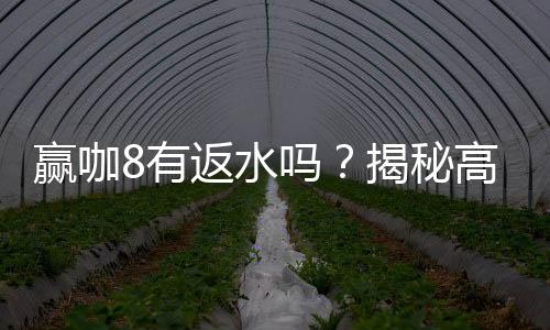赢咖8有返水吗?揭秘高额返水优惠与领取攻略