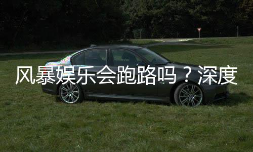风暴娱乐会跑路吗?深度解析平台可靠性与资金安全策略