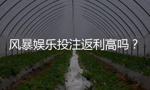 风暴娱乐投注返利高吗?揭秘高返利平台的真实体验