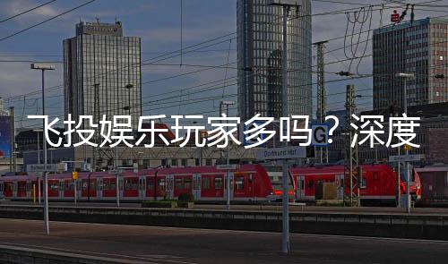 飞投娱乐玩家多吗?深度解析平台人气与玩家真实体验