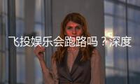飞投娱乐会跑路吗？深度解析平台安全性与玩家资金保障