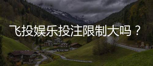 飞投娱乐投注限制大吗?深度解析平台规则与玩家应对策略