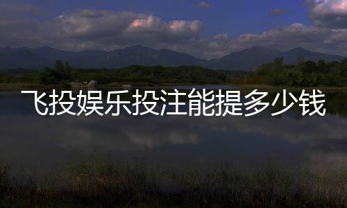 飞投娱乐投注能提多少钱?揭秘提款额度与到账时间全攻略