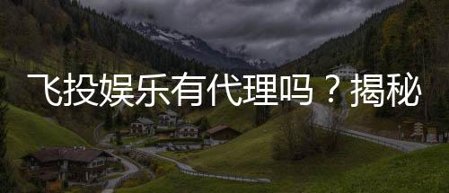 飞投娱乐有代理吗?揭秘代理加盟条件与流程