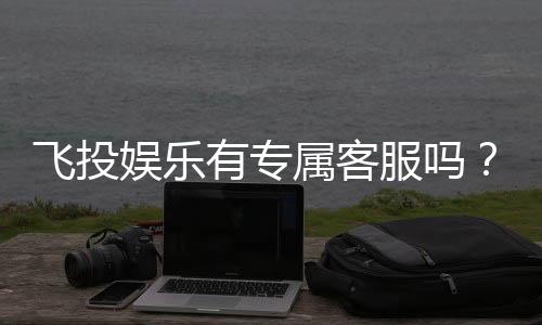 飞投娱乐有专属客服吗?平台客服服务体验全解析
