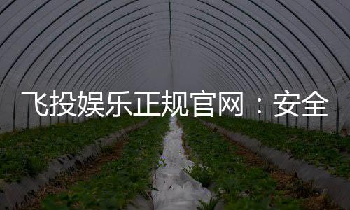 飞投娱乐正规官网:安全可靠的在线娱乐平台首选