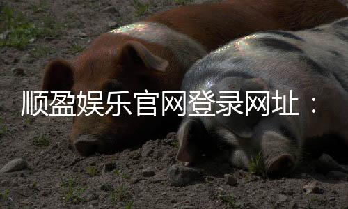 顺盈娱乐官网登录网址:畅享棋牌电游的顶级娱乐平台