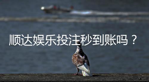顺达娱乐投注秒到账吗?实测到账速度与平台可靠性分析
