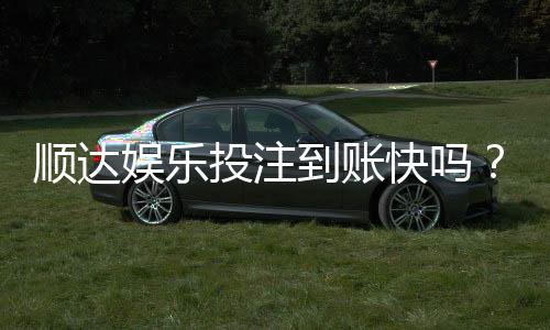 顺达娱乐投注到账快吗？实测3分钟极速到账体验分享