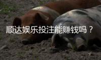 顺达娱乐投注能赚钱吗？揭秘真实盈利模式与实战技巧