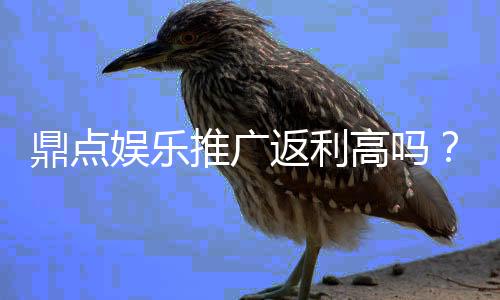 鼎点娱乐推广返利高吗？真实玩家解析返利规则与到账速度