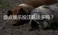 鼎点娱乐投注玩法多吗？深度解析平台多元游戏与特色玩法