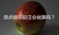 鼎点娱乐投注会被黑吗？深度解析平台安全性与防黑策略