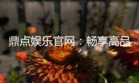 鼎点娱乐官网：畅享高品质棋牌与电子游艺新体验
