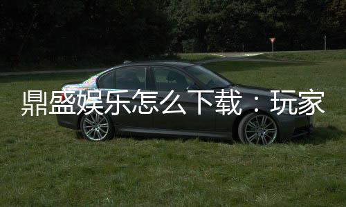 鼎盛娱乐怎么下载:玩家必看下载指南