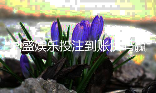 鼎盛娱乐投注到账快吗赢取轻松乐趣!