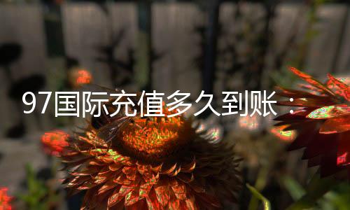 97国际充值多久到账:便捷安全快速到账方式分享