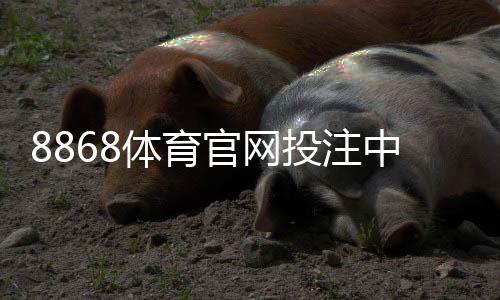 8868体育官网投注中心新手指南:注册、充值、安全与热门玩法详解
