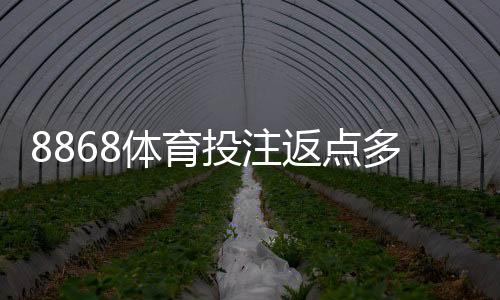 8868体育投注返点多少?最新返点比例、返水计算与领取攻略