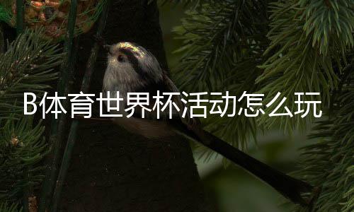 B体育世界杯活动怎么玩?参与步骤、优惠攻略与中奖技巧全解析