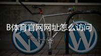 B体育官网网址怎么访问？官网入口、登录注册与安全指南
