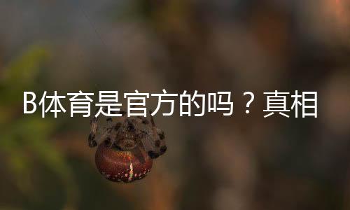 B体育是官方的吗?真相揭晓与快速辨别方法