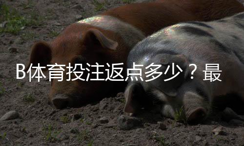 B体育投注返点多少?最新返利比例、计算方法与领取攻略