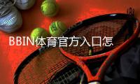 BBIN体育官方入口怎么进？最新登录方法、注册链接与安全验证全攻略
