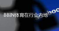 BBIN体育在行业内地位如何？市场份额、竞争优势与未来前景全面解析