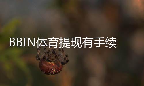 BBIN体育提现有手续费吗?一文看懂收费标准、免手续费技巧与注意事项