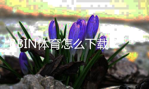 BBIN体育怎么下载?安卓iOS下载安装图文教程与常见问题解答