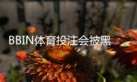 BBIN体育投注会被黑吗？全面解读安全性、常见风险与防骗指南