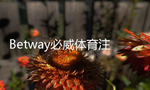 Betway必威体育注册送专属奖励怎么领？新手领取攻略与注意事项