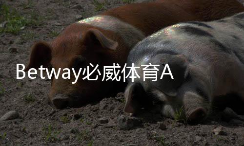 Betway必威体育APP安全性如何?合规性、隐私与资金保护全面评测