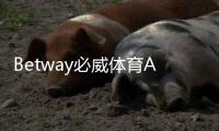 Betway必威体育APP开户教程：新手注册流程、实名认证与首存优惠详解