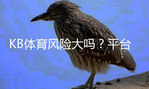 KB体育风险大吗?平台安全性、资金与法律风险全面解析为新手识别与防范风险提供指导