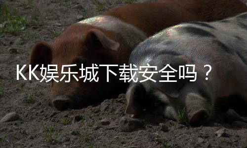 KK娱乐城下载安全吗?资深玩家实测下载流程与安全保障