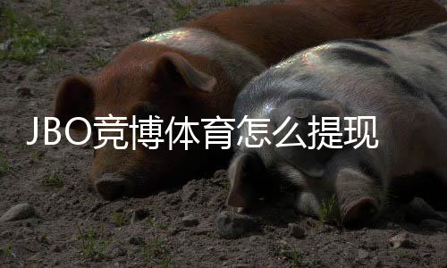 JBO竞博体育怎么提现?最新提现流程、手续费与到账时间详解