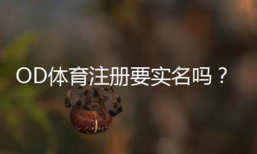 OD体育注册要实名吗？实名认证流程、所需资料与常见问题全解析